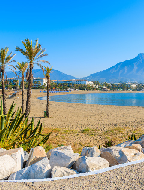 View,Of,Beautiful,Beach,With,Palm,Trees,In,Marbella,Near